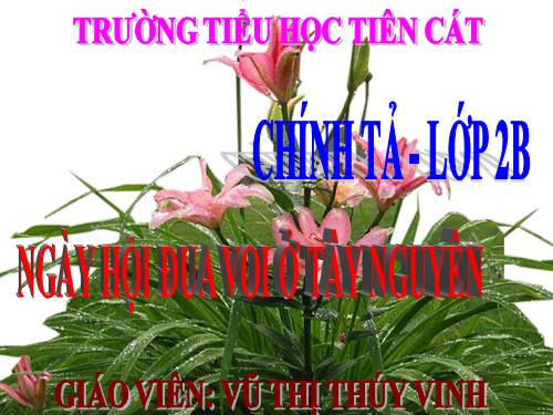 Tuần 23. Nghe-viết: Ngày hội đua voi ở Tây Nguyên
