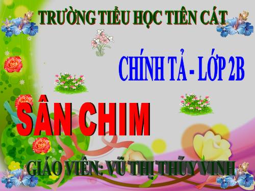 Tuần 21. Nghe-viết: Sân chim
