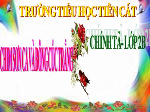 Tuần 21. Tập chép: Chim sơn ca và bông cúc trắng