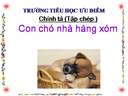 Tuần 16. Tập chép: Con chó nhà hàng xóm