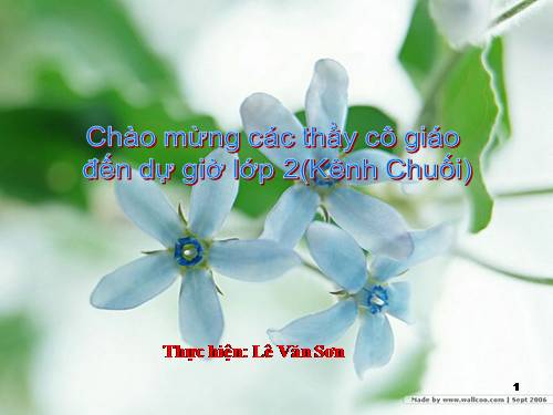 Tuần 14. Nghe-viết: Câu chuyện bó đũa