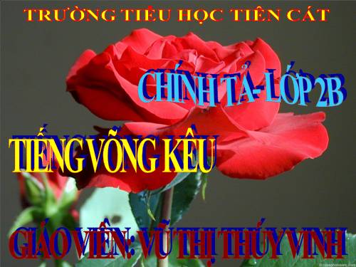 Tuần 14. Tập chép: Tiếng võng kêu