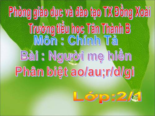 Tuần 8. Tập chép: Người mẹ hiền