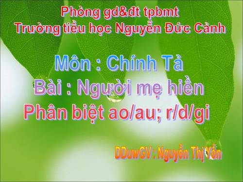 Tuần 8. Tập chép: Người mẹ hiền