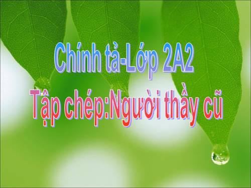 Tuần 7. Tập chép: Người thầy cũ