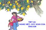 Tuần 11. Nghe-viết: Cây xoài của ông em