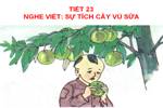 Tuần 12. Nghe-viết: Sự tích cây vú sữa