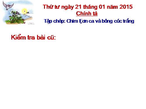 Tuần 21. Tập chép: Chim sơn ca và bông cúc trắng