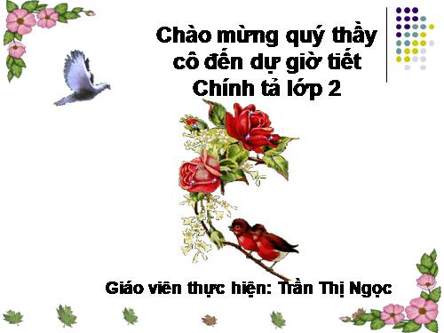 Tuần 21. Nghe-viết: Sân chim