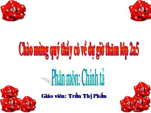 Tuần 13. Tập chép: Bông hoa Niềm Vui