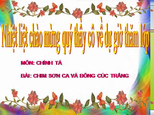 Tuần 21. Tập chép: Chim sơn ca và bông cúc trắng