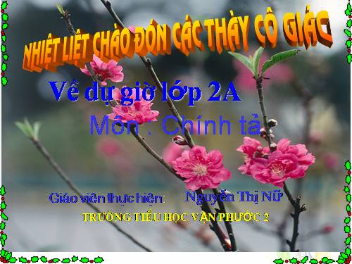 Tuần 24. Nghe-viết: Quả tim khỉ