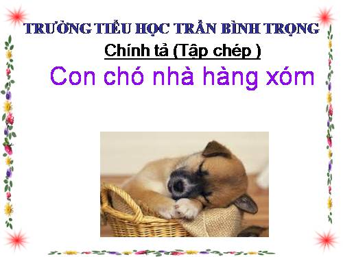 Tuần 16. Tập chép: Con chó nhà hàng xóm