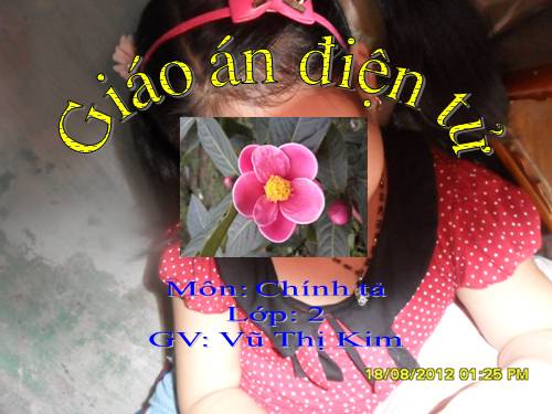 Tuần 29. Tập chép: Những quả đào