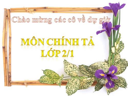 Tuần 17. Nghe-viết: Tìm ngọc