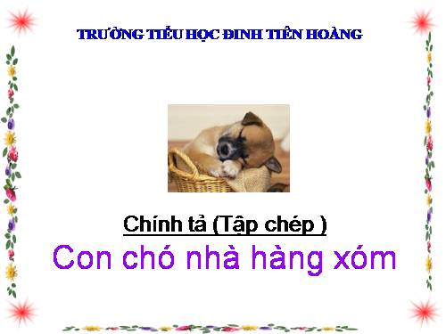 Tuần 16. Tập chép: Con chó nhà hàng xóm