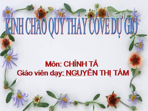Tuần 24. Nghe-viết: Quả tim khỉ