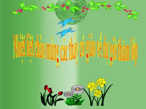 Tuần 10. Tập chép: Ngày lễ