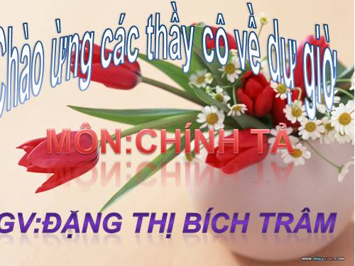 Tuần 22. Nghe-viết: Một trí khôn hơn trăm trí khôn