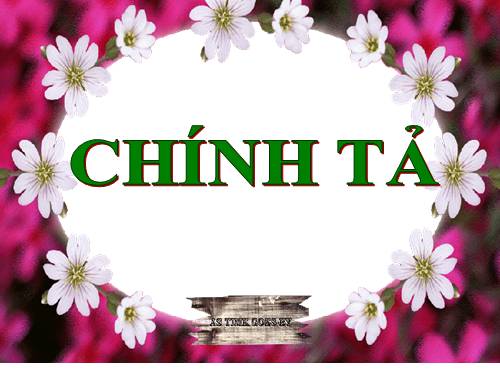 Tuần 28. Nghe-viết: Cây dừa