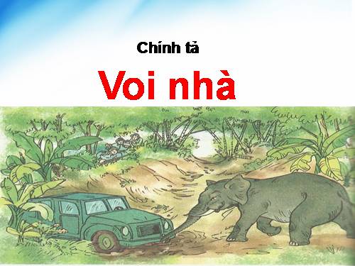 Tuần 24. Nghe-viết: Voi nhà