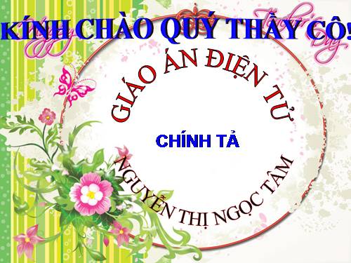 Tuần 21. Nghe-viết: Sân chim