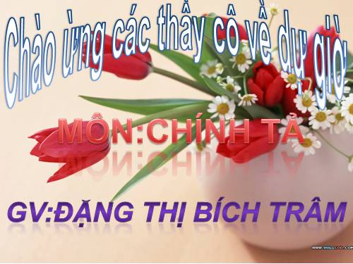 Tuần 8. Tập chép: Người mẹ hiền