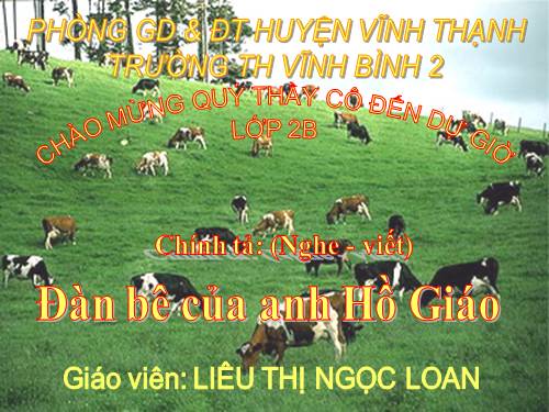 Tuần 34. Nghe-viết: Đàn bê của anh Hồ Giáo