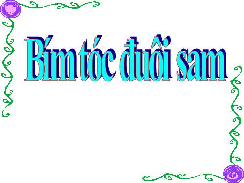 Tuần 4. Tập chép: Bím tóc đuôi sam