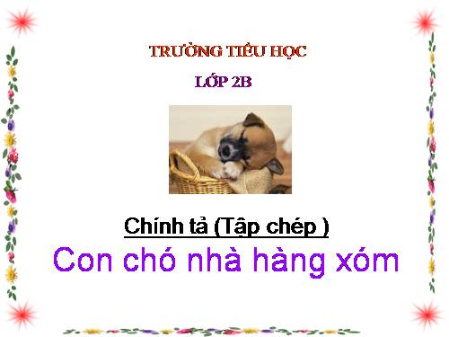 Tuần 16. Tập chép: Con chó nhà hàng xóm