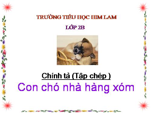 Tuần 16. Tập chép: Con chó nhà hàng xóm