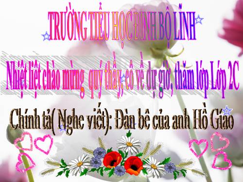 Tuần 34. Nghe-viết: Đàn bê của anh Hồ Giáo