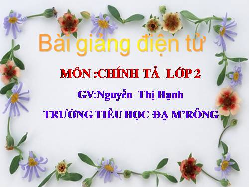 Tuần 24. Nghe-viết: Quả tim khỉ