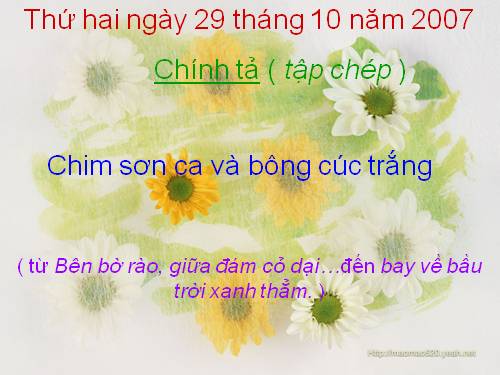 Tuần 21. Tập chép: Chim sơn ca và bông cúc trắng