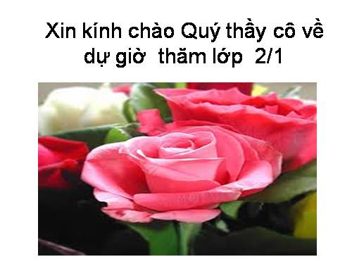 Tuần 10. Nghe-viết: Ông và cháu