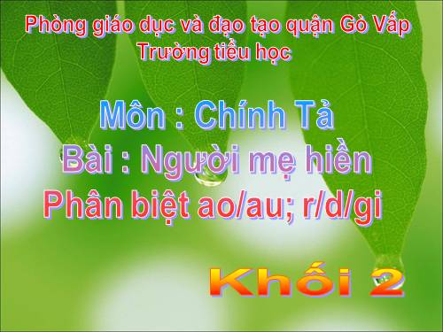 Tuần 8. Tập chép: Người mẹ hiền