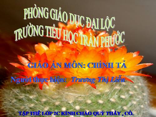 Tuần 16. Nghe-viết: Trâu ơi!