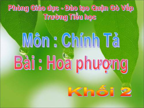 Tuần 29. Nghe-viết: Hoa phượng