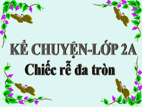 Tuần 31. Chiếc rễ đa tròn