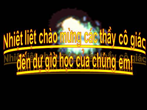 Tuần 5. Chiếc bút mực