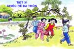 Tuần 31. Chiếc rễ đa tròn
