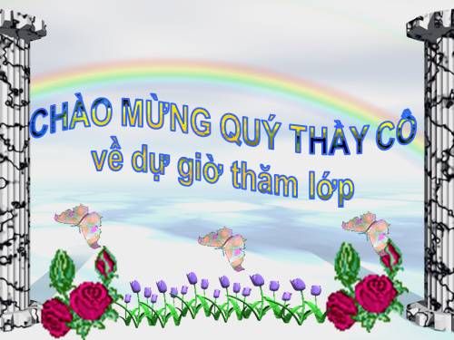 Tuần 17. Tìm ngọc