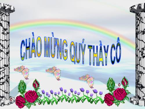 Tuần 17. Tìm ngọc