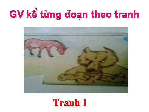 Tuần 23. Bác sĩ Sói