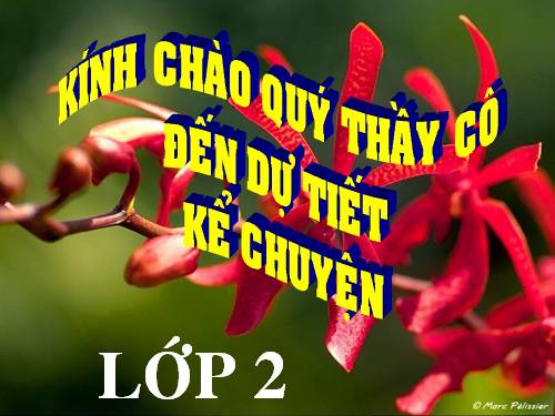 Tuần 22. Một trí khôn hơn trăm trí khôn