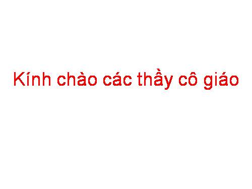 Tuần 26. Tôm Càng và Cá Con