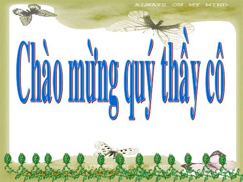 Tuần 22. Một trí khôn hơn trăm trí khôn