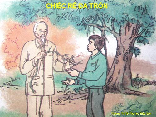 Tuần 31. Chiếc rễ đa tròn