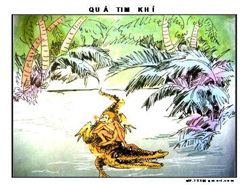 Tuần 24. Quả tim khỉ