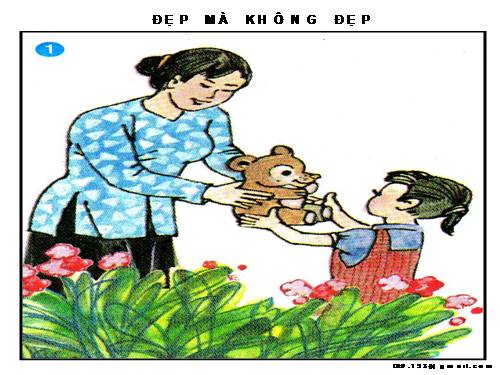 KC 2: ĐẸP MÀ KHÔNG ĐẸP